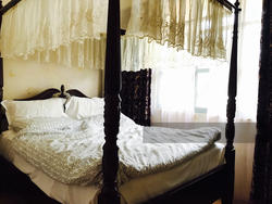 Faber Crest (D5), Condominium #142834242